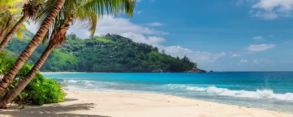 Decouvrez les meilleures escapades de plage pour une detente totale