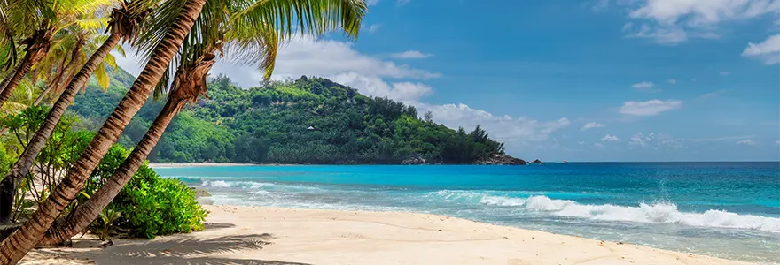 Decouvrez les meilleures escapades de plage pour une detente totale